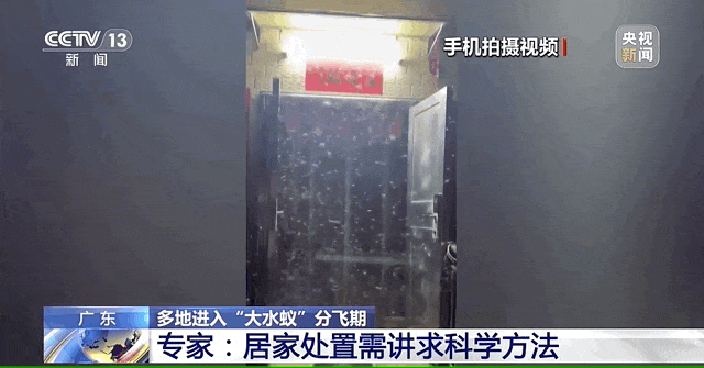 关窗！关窗！近期大量出现