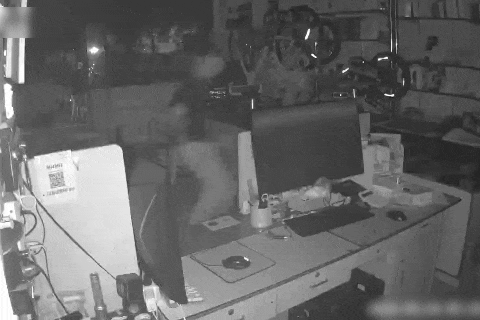 现实版“低智商犯罪”?两名“爆破手”一夜砸开三家店,成都青羊公安速擒嫌疑人 现实版“低智商犯罪”?两名“爆破手”一夜砸开三家店,成都青羊公安速擒嫌疑人