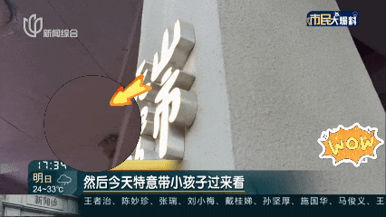 上海一商场惊现久违的小动物！众人抬头围观：像城市的一个逗号！