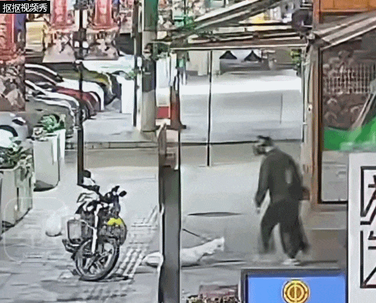 柴犬凌晨等主人下班，被男子用弩射中掳走！警方消息