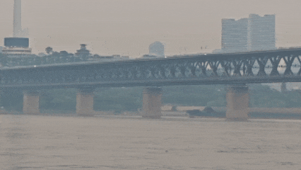 武汉长江大桥下出现惊喜一幕，“一群江豚，大约持续10分钟”，海事人员：首次亲眼目睹