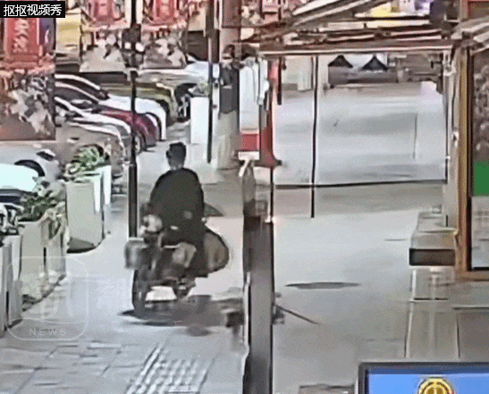 柴犬凌晨等主人下班，被男子用弩射中掳走！警方消息