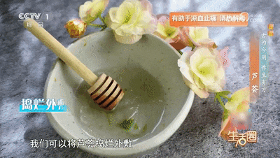 抑菌消炎、抗衰老 别错过芦荟的这些“隐藏技能” 抑菌消炎、抗衰老 别错过芦荟的这些“隐藏技能”