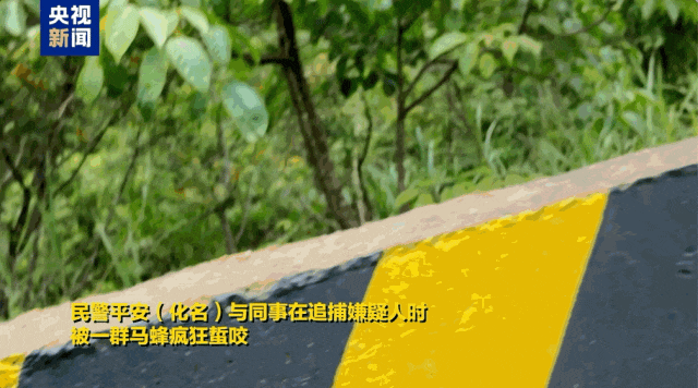 膝盖留下狰狞疤痕 全身16处被马蜂蜇伤 致敬这些缉毒英雄 膝盖留下狰狞疤痕 全身16处被马蜂蜇伤 致敬这些缉毒英雄
