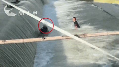 厦门一男孩在水坝玩水被冲入下游，瞬间被水淹没，父亲跳水救人也被困，救援队20秒极速救人