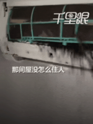 "吓得浑身发麻"!工人拆开空调盖板,十几只蝙蝠…很多人遇到过 "吓得浑身发麻"!工人拆开空调盖板,十几只蝙蝠…很多人遇到过