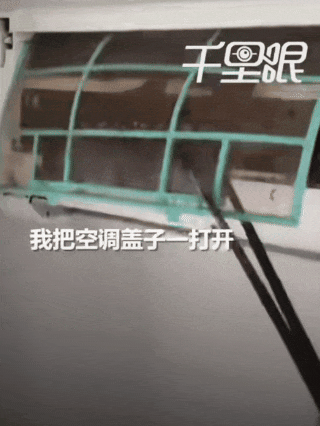 "吓得浑身发麻"!工人拆开空调盖板,十几只蝙蝠…很多人遇到过 "吓得浑身发麻"!工人拆开空调盖板,十几只蝙蝠…很多人遇到过