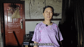 深夜火海,一家三口成功脱险!他们做对了什么? 深夜火海,一家三口成功脱险!他们做对了什么?