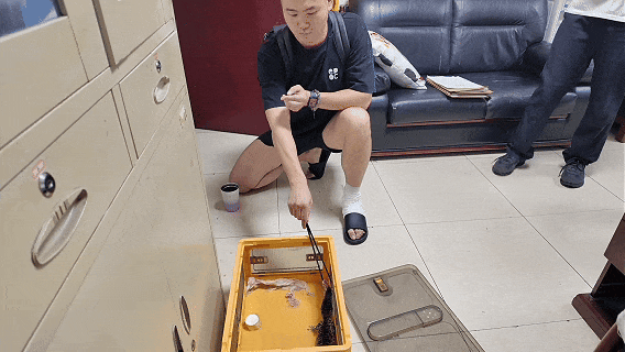 前员工为泄愤偷走老板的鳄鱼宝宝，老板报警后，二人双双被罚，鳄鱼没收