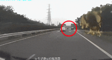 电动自行车上高速!驾驶员:“我走的边上车道,感觉挺安全……” 电动自行车上高速!驾驶员:“我走的边上车道,感觉挺安全……”