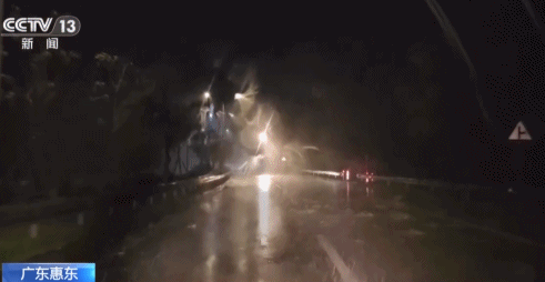 总台记者直击“红霞”登陆，狂风暴雨横扫街区