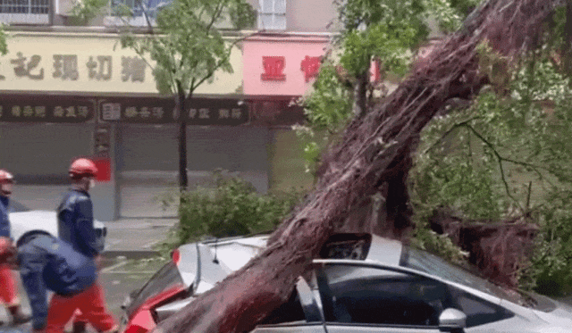 台风“红霞”强度逐渐减弱，预计明天凌晨进入湖南，四川部分地区将有大暴雨