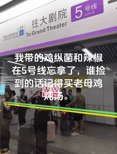 鸡枞菌忘在了深圳地铁上？失主：捡到记得炖汤！网友在线求教程