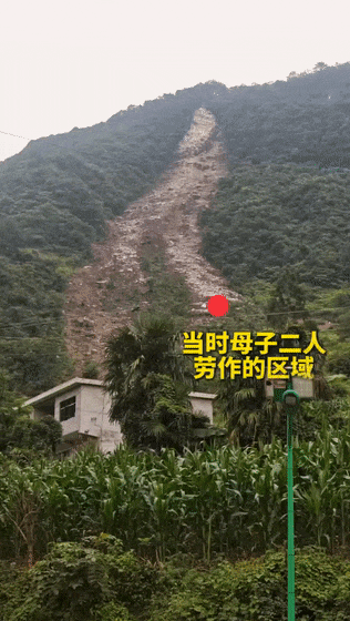 贵州一村民洗车时多看了一眼，发现危岩崩塌迹象，“救”下55人！