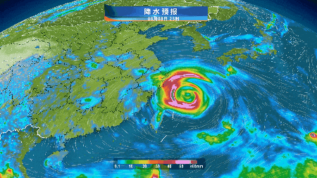 台风“白海豚”，走出古怪路径！上海四个区发布台风黄色预警信号，全市风雨明显！“菜篮子”有准备→