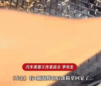 广东一车主把海鲜忘车里4天,洗车店老板打开门瞬间崩溃:满车是蛆…… 广东一车主把海鲜忘车里4天,洗车店老板打开门瞬间崩溃:满车是蛆……