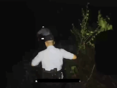 2名游客被困！暴雨后突发山洪，夜间极限营救