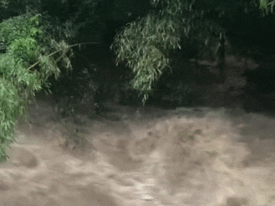2名游客被困！暴雨后突发山洪，夜间极限营救