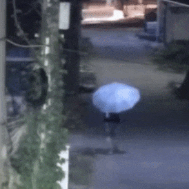 极致抽象!半夜无雨硬撑伞隐身? 显眼包小偷原地翻车 极致抽象!半夜无雨硬撑伞隐身? 显眼包小偷原地翻车