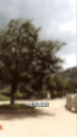 “劝他，他不听…… ”面对不听劝的同学，三个孩子报警了