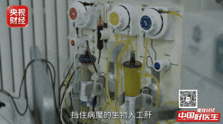 乙肝、脂肪肝、酒精肝…如何一步步拖成肝衰竭？