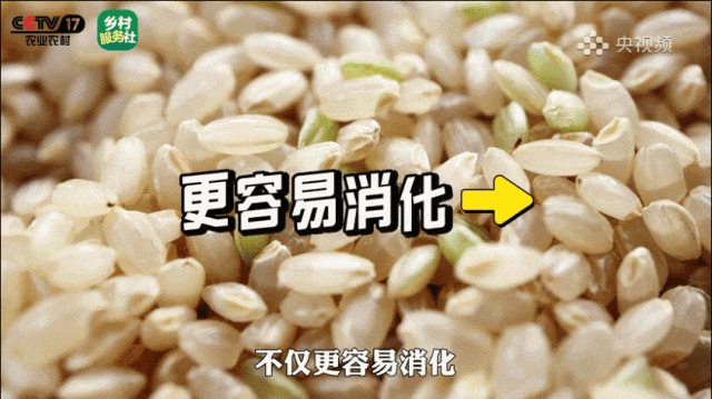 别再扔！这些食物发芽，营养直接翻倍→