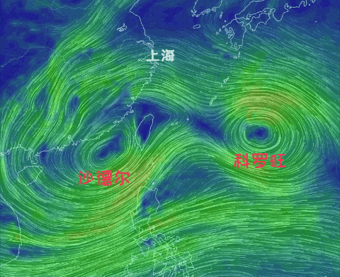 “沙德尔”倒槽和冷空气共同影响,今日上海有暴雨!重点关注这些地区→ “沙德尔”倒槽和冷空气共同影响,今日上海有暴雨!重点关注这些地区→