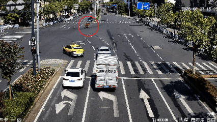 杭州一隧道口惊现两头骡子,沿着车道逆行狂奔!民警和路人默契配合将其引至路边 杭州一隧道口惊现两头骡子,沿着车道逆行狂奔!民警和路人默契配合将其引至路边