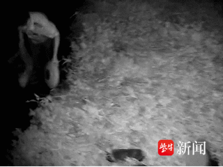 男子半身浸于水塘欲轻生！镇江丹徒民警深夜纵身入水施救