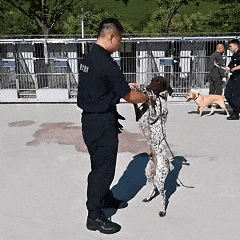 是谁又羡慕了？北京这所高校发“小狗”了……