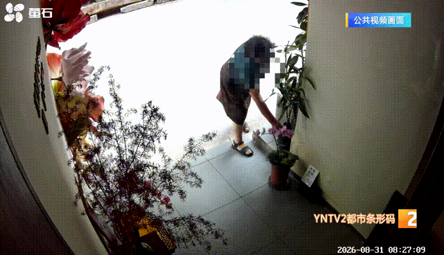 女子监控下3次在店门口偷兰花,店主气得手绘肖像警告被无视又丢了一盆,警方介入调查 女子监控下3次在店门口偷兰花,店主气得手绘肖像警告被无视又丢了一盆,警方介入调查