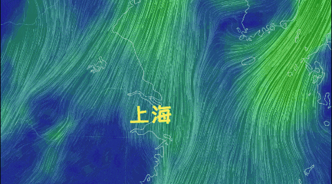 “晚上开空调被冻醒!”上海的秋天来了?本周还会降温…… “晚上开空调被冻醒!”上海的秋天来了?本周还会降温……
