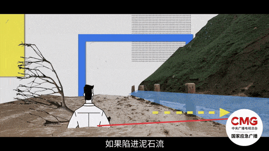 多看一眼，救了216人！