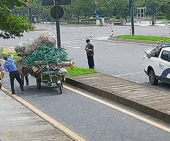 杭州城管杨歌斐火了,因为他上班时“收废品”:“你的车子装不下了,装我们车上吧!” 杭州城管杨歌斐火了,因为他上班时“收废品”:“你的车子装不下了,装我们车上吧!”