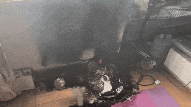瞬间就可能爆炸!今天起,使用微波炉请调整一下 瞬间就可能爆炸!今天起,使用微波炉请调整一下