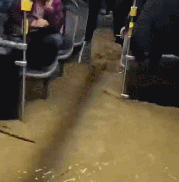 土耳其伊斯坦布尔强降雨引发城市内涝 交通大面积瘫痪