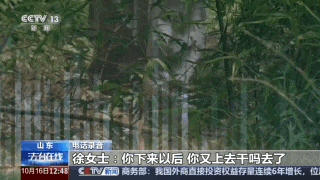男子登山途中离队坠亡,家属索赔30万,法院判了:登山组织者被判担责5%,赔4万余元 男子登山途中离队坠亡,家属索赔30万,法院判了:登山组织者被判担责5%,赔4万余元