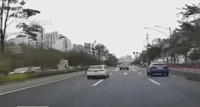 事发上海早高峰！两匹脱缰小马在马路上狂奔、逆行……