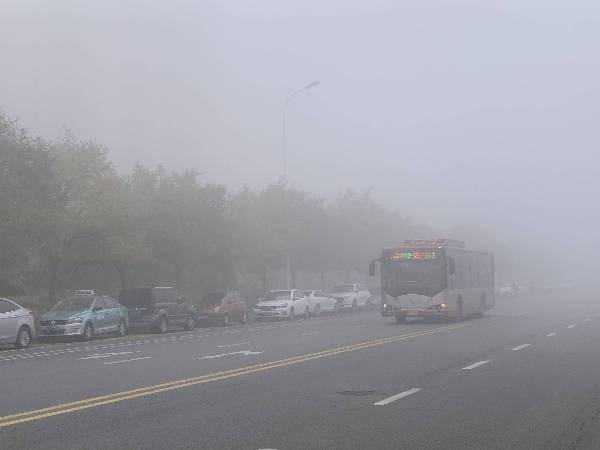 “雾”必小心!这份雾天行车安全提示请收好 “雾”必小心!这份雾天行车安全提示请收好