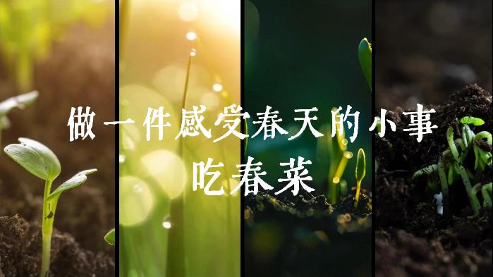春分尝春天丨做一件感受春天的小事：吃春菜