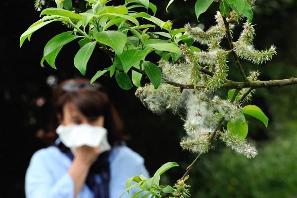 出门衣服上总有小飞虫？那是因为你穿了这些色彩上身
