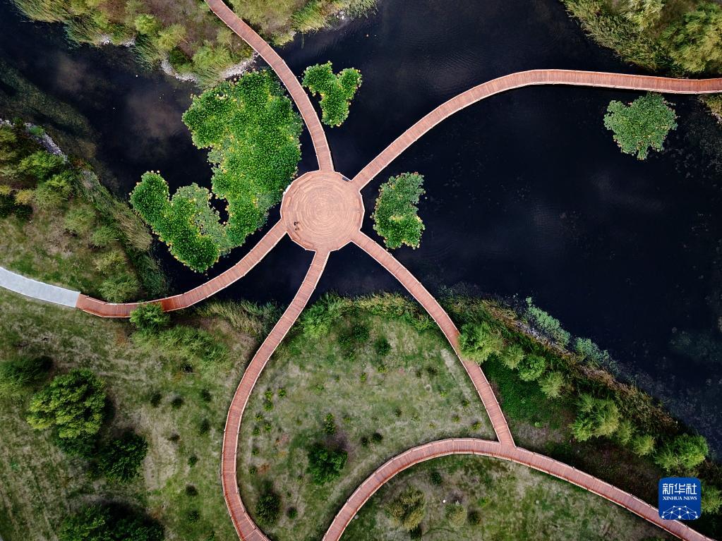 从松花江到辽河：生态发展新画卷