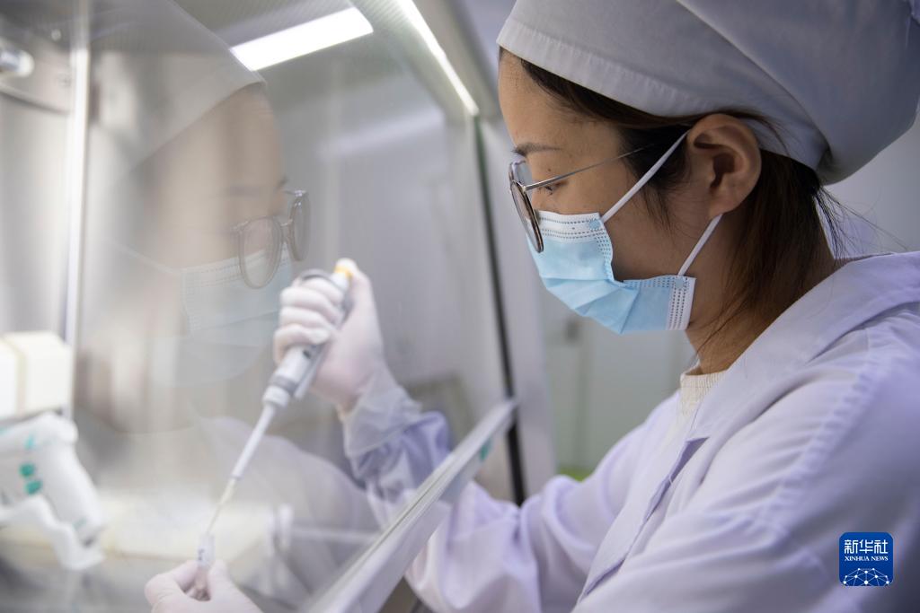 从松花江到辽河：生态发展新画卷