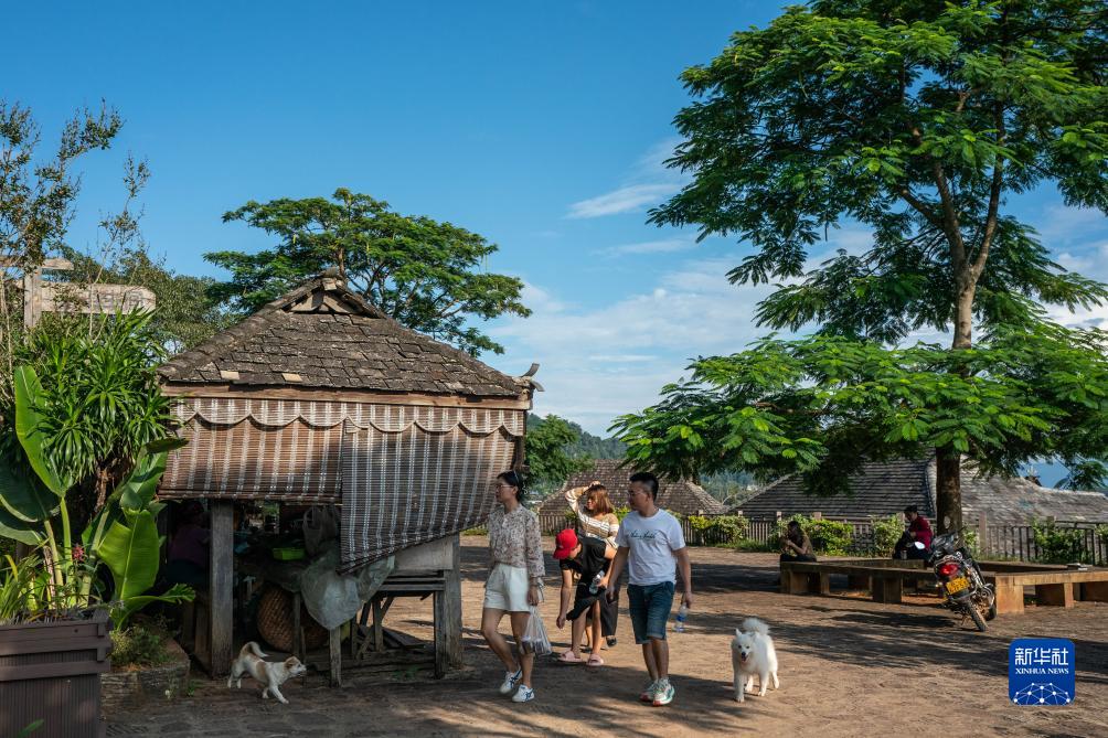 改革故事｜普洱景迈古茶山上的新生活