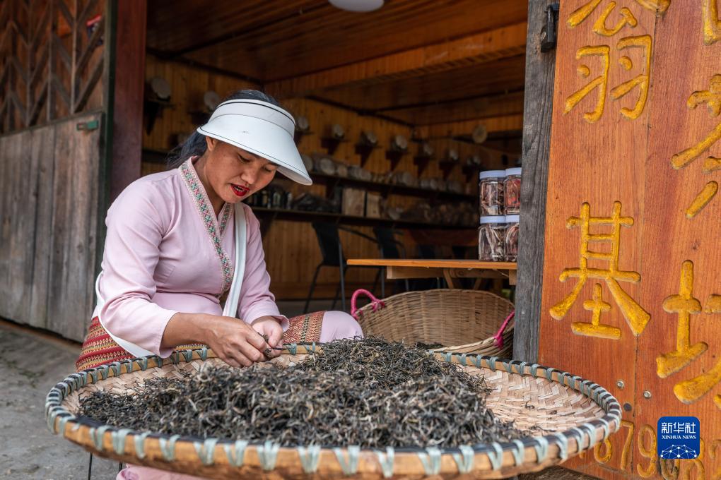 改革故事｜普洱景迈古茶山上的新生活