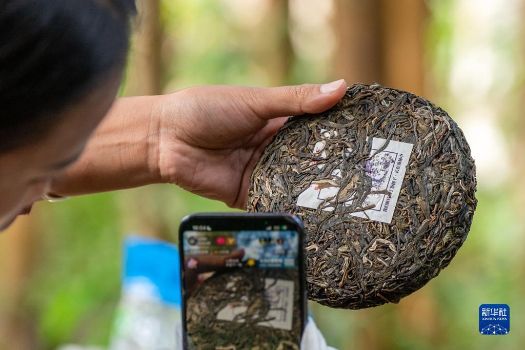 改革故事｜普洱景迈古茶山上的新生活