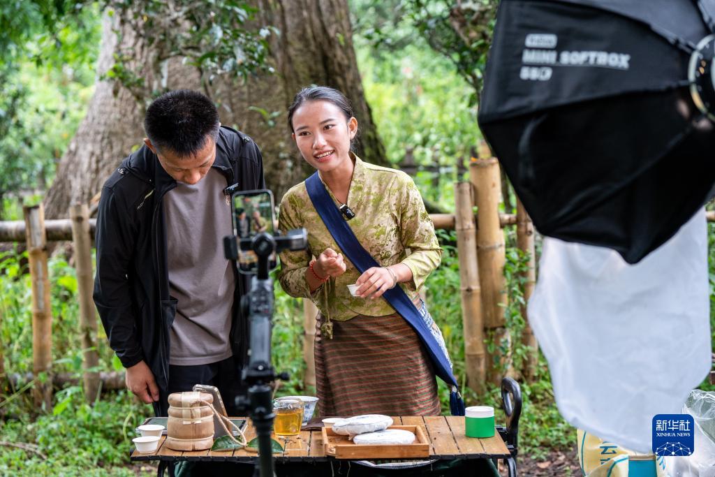 改革故事｜普洱景迈古茶山上的新生活