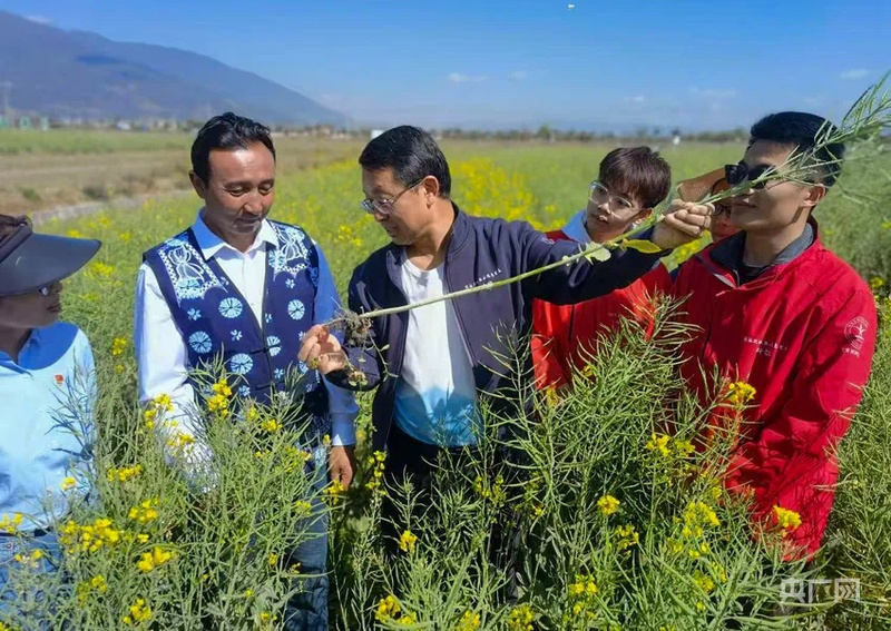 【牢记嘱托·看见美好中国】守护洱海清波，让美景永驻人间