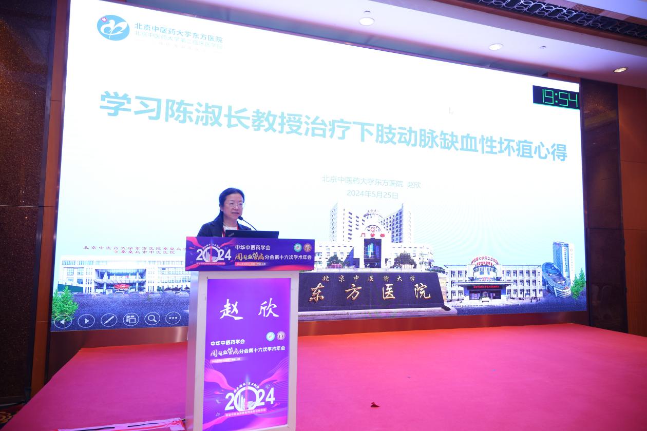 北京中医药大学东方医院赵欣：用“血脉辨证”理论诠释中医智慧