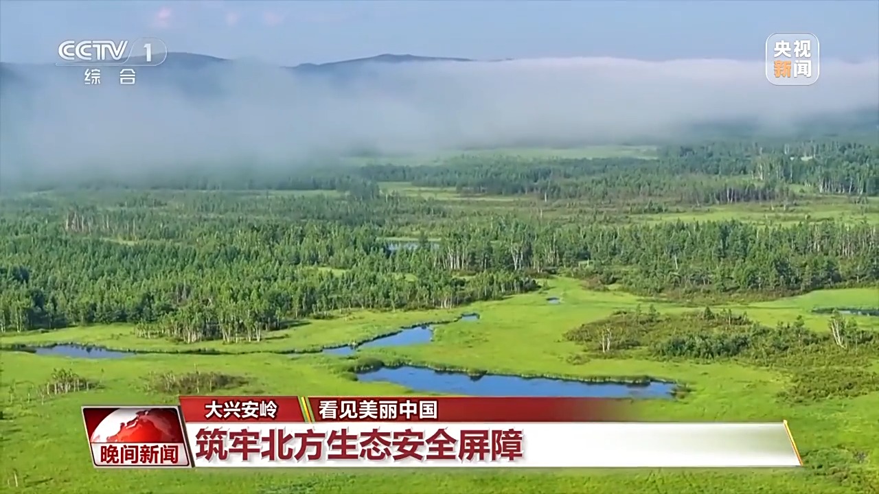 看见美丽中国丨停伐十年 看“绿色宝库”大兴安岭的转型路